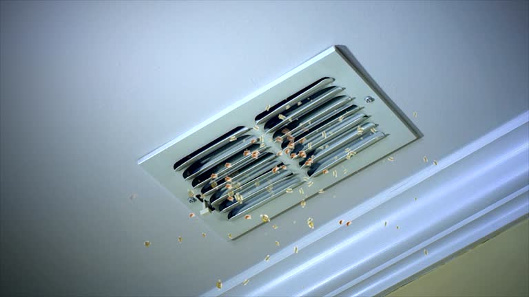 Best Professional Duct Cleaning Services  in Van Buren, MO